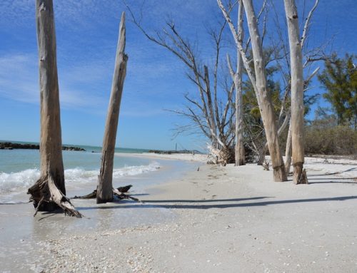 Captiva Island Florida