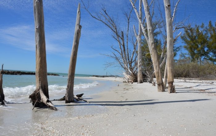 North Captive Island